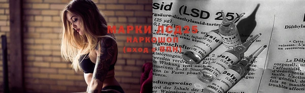 mdma Горняк