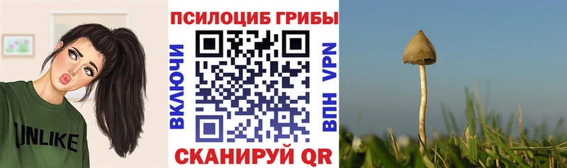 Галлюциногенные грибы Psilocybine cubensis  MEGA ссылки  Барыш 